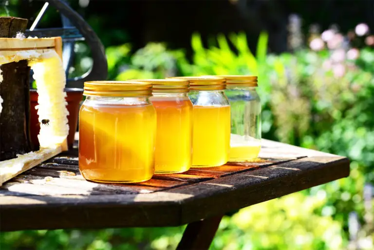 Honig haltbar bis zur Rente? Die Wahrheit über die Haltbarkeit von Honig!