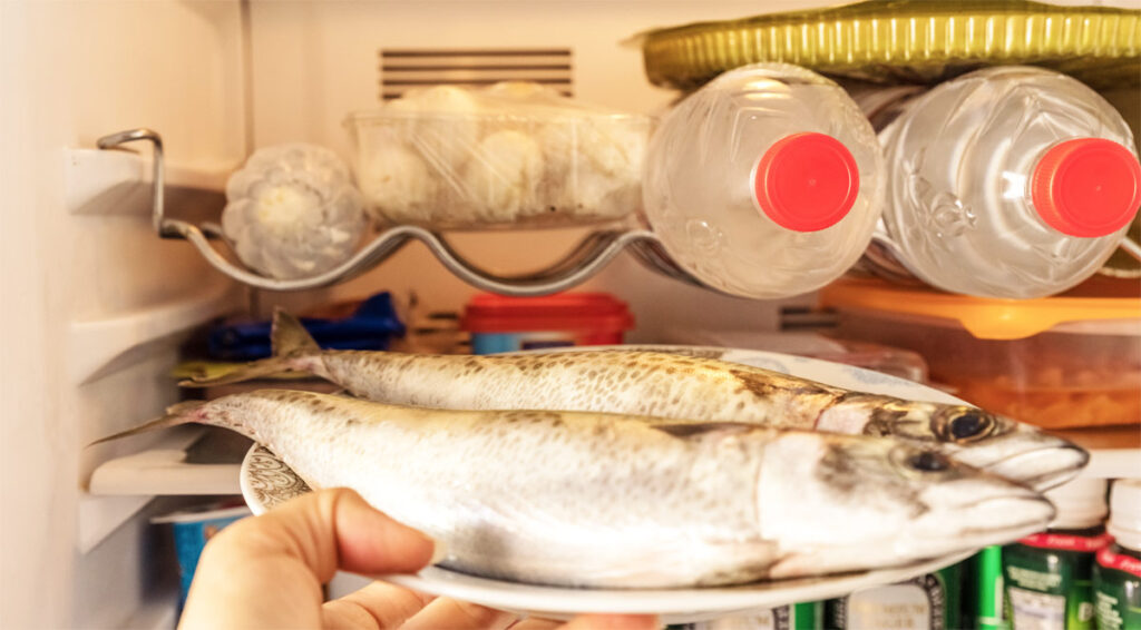 roher, frischgeschlachteter Fisch auf einem Teller