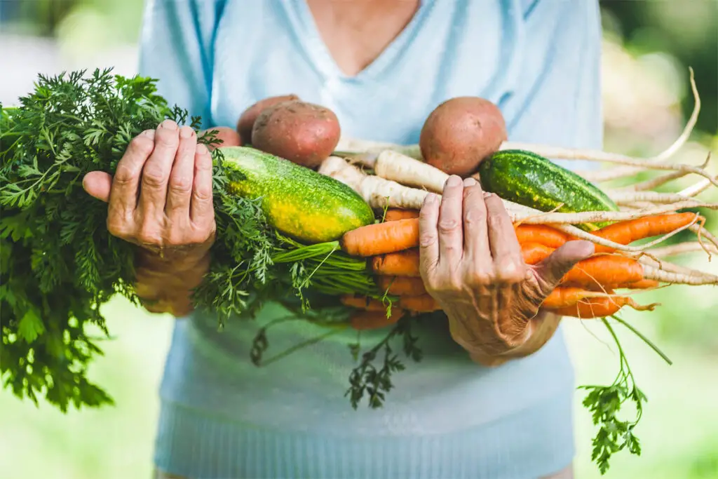 Frau mit heimischen Gemüsesorten im Arm