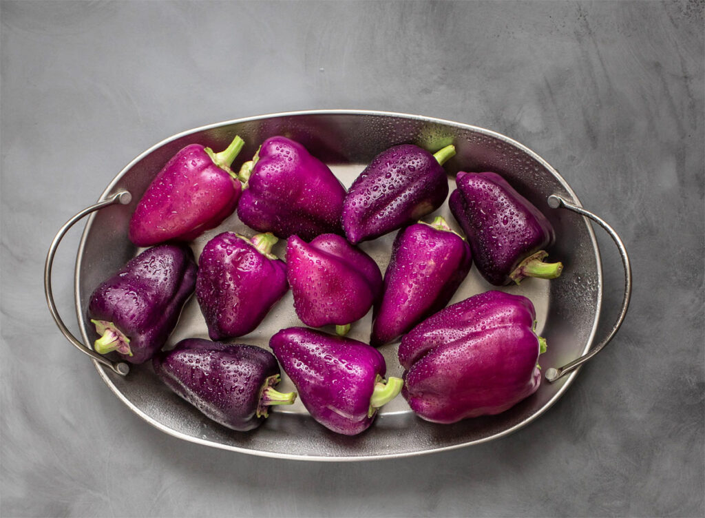 violetter Paprika in einer Schüssel