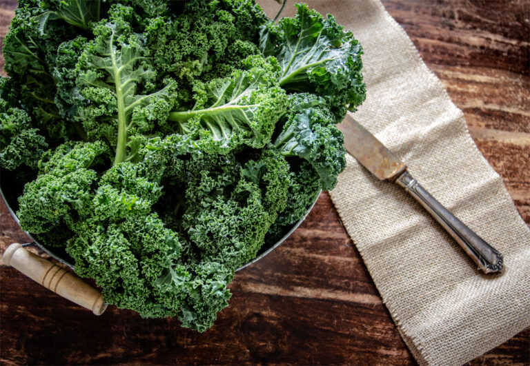 Grünkohl: Das Superfood für den Winter