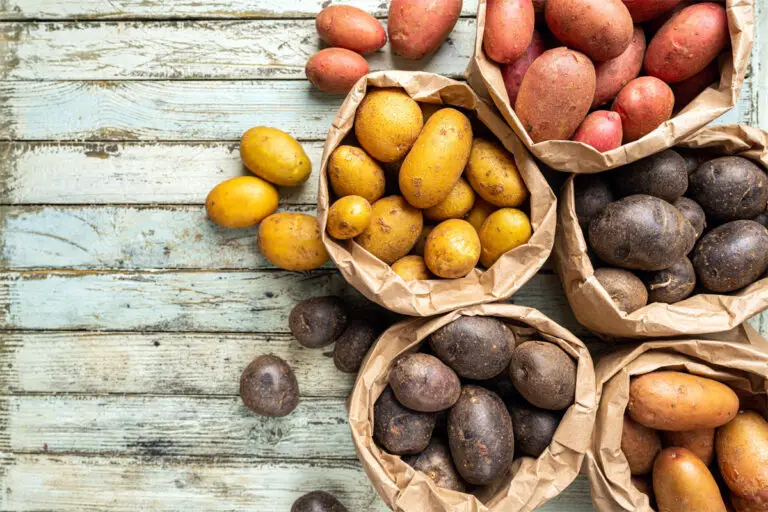 Kartoffeln: Beliebtes Grundnahrungsmittel mit vielen Zubereitungsmöglichkeiten