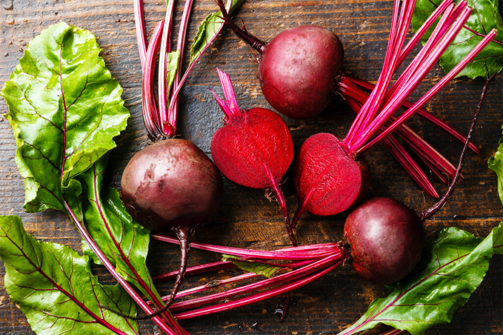 Rote Bete Gesundes Wintergemüse voller Vitamine