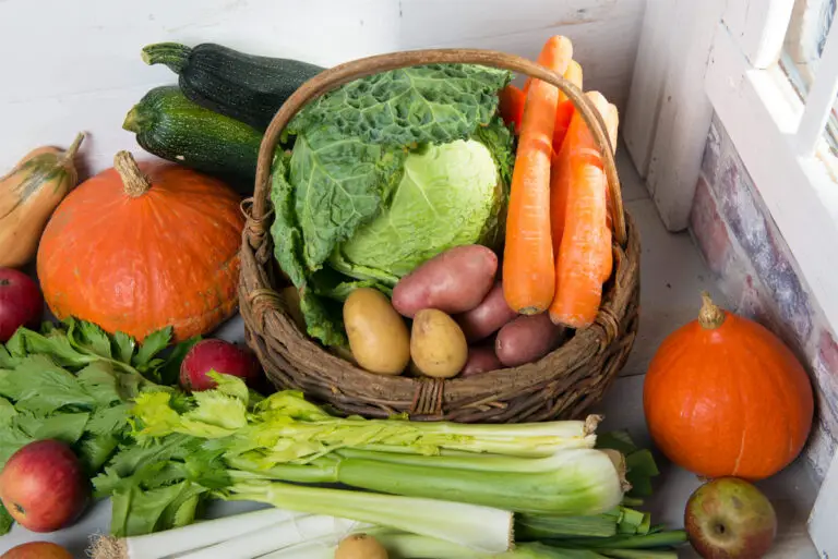 Wintergemüse: Gesunde und leckere Gemüsesorten für die kalten Monate