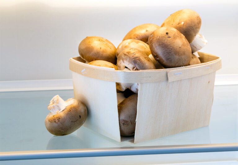 Wie lange halten sich frische Champignons im Kühlschrank?