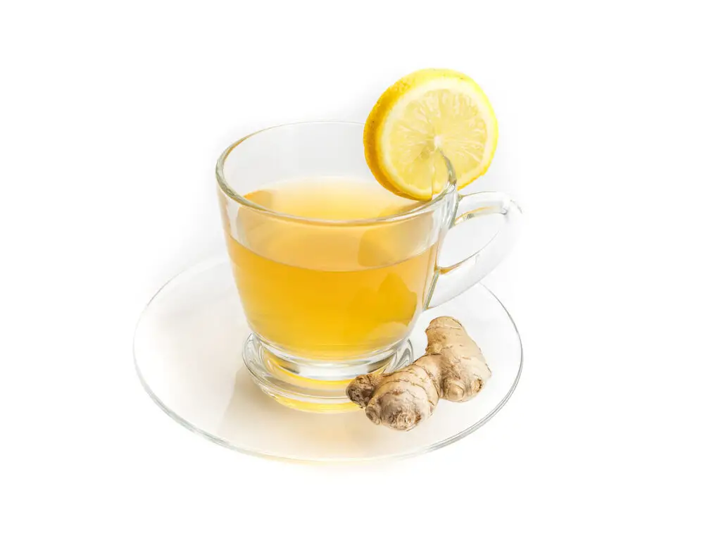 Ingwer-Tee mit einer Zitronenscheibe in einem Teeglas.